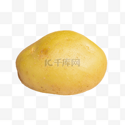 土豆炖粉条图片_蔬菜一个土豆