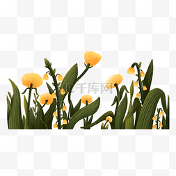 黄色的草丛图片_草丛里面的黄色的花朵