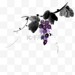 葡萄叶子素材图片_紫色的葡萄装饰插画