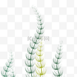 水生植物植物图片_彩色植物水草元素
