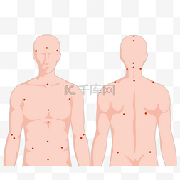人体部位线稿图片_人体穴位