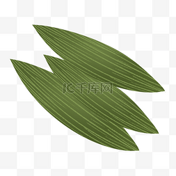 深绿色叶子图片_深绿色端午节手绘粽叶