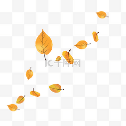 黄色树叶装饰叶子
