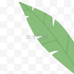 卡通绿色的植物叶子