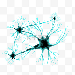 绿色神经元血管
