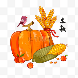 玉米小麦图片_立秋食物丰收