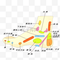 位图图片_足部穴位图按摩