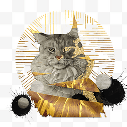 机械猫图片图片_复古金色朋克装饰猫咪