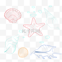 海螺贝壳海星图片_线条贝壳