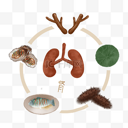 食疗图片_中医食疗补肾滋阴补阳