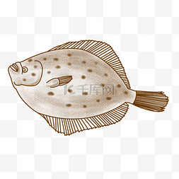 珍稀鱼类图片_线描多宝鱼类