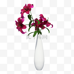 白色花儿图片_白色瓷器花瓶