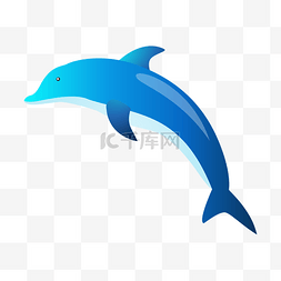 灵活的鸟图片_蓝色灵活海豚