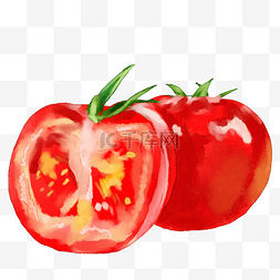 西红柿苗子图片_切开的西红色