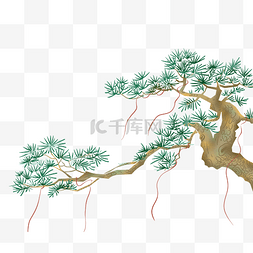 古风素材松树图片_古典松树中国风