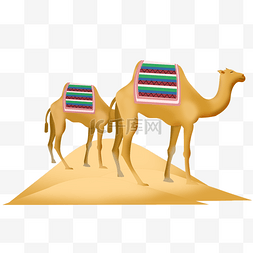 埃及动物骆驼
