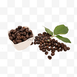 咖啡色的叶子图片_炒熟的咖啡豆