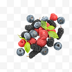 桑葚蓝莓图片_新鲜树莓蓝莓桑葚