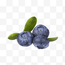 蓝莓新鲜图片_新鲜蓝莓