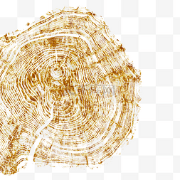 金箔树图片_年轮纹理样式装饰