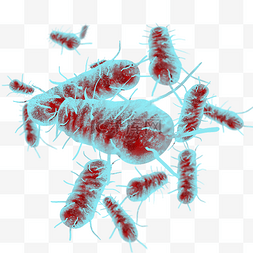 医学细胞基因图片_肺结核细菌细胞