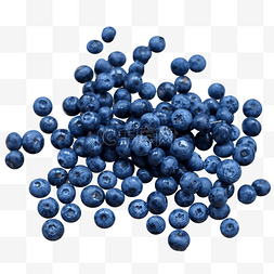 蓝莓浆果花青素摄影