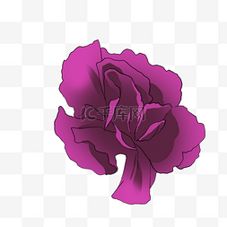 紫色康乃馨手绘写实母亲节