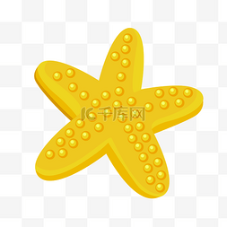 黄色海洋海星