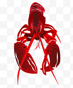 海鲜龙虾插画图片_水产海鲜龙虾插画