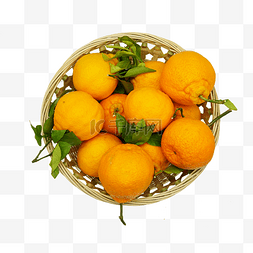 新鲜橘子蜜橘