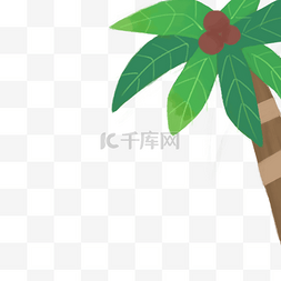 椰子树免抠图图片_新鲜的椰子树免抠图