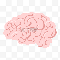 人体器官大脑图片_粉色人体器官插画