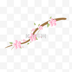 盛开的叶子图片_盛开的粉色樱花插画