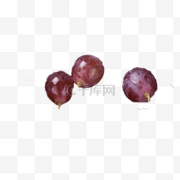 清甜柚子图片_三个清甜可口的葡萄粒