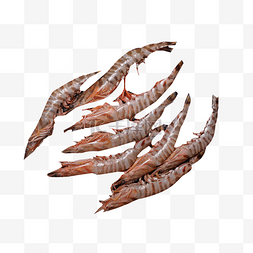 虾类图片_虾海产品海鲜类食品海鲜食物