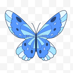 漂亮的蓝色蝴蝶插图