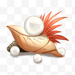 贝壳珍珠