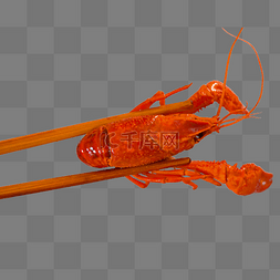 筷子夹虾图片_筷子夹着的龙虾