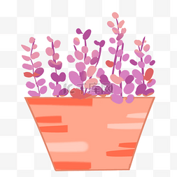 粉色植物盆栽图片_夏天盆栽紫色粉色