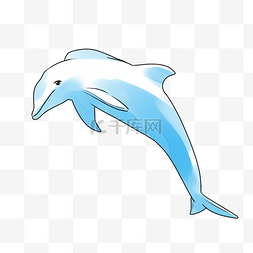 飞起的蓝色海豚