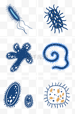 图状图片_各种细胞细菌组图PNG免抠素材