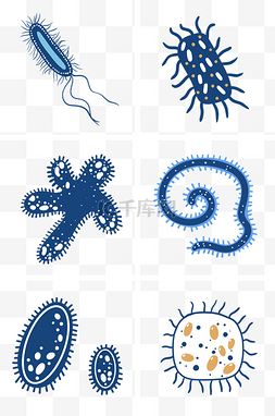 条状放射光线图片_各种细胞细菌组图PNG免抠素材
