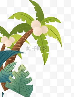椰果装饰装饰矢量图片_两颗长满椰果的椰子树