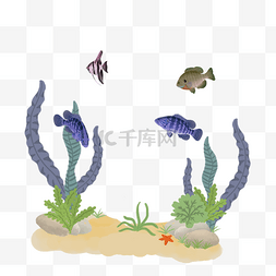 夏季海底动植物