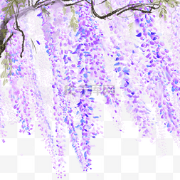 冬天紫色图片_紫藤花植物冬天紫色