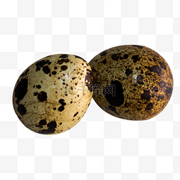 鹌鹑蛋PNG图片_两个鹌鹑蛋蛋类