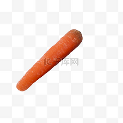 多根柱子图片_一根美味的大胡萝卜