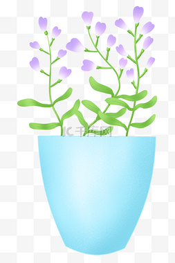 紫色小花盆栽图片_紫色小花盆栽