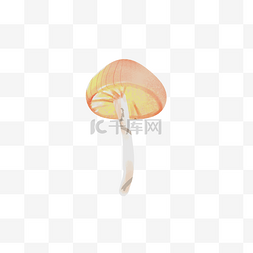 香喷喷的蘑菇