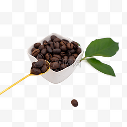 咖啡色的叶子图片_一勺咖啡豆